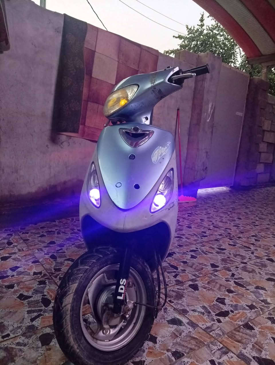 درجه ماكس منغولي للبيع سعر 500 *********** ابو خستاوي
