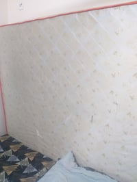 دوشك نفرين • بي مجال