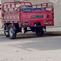 ستوته لبيع مديل 19 ستوته حلوه ونضيفه عليه محرك جمره عشرين بيه شويه لدب...