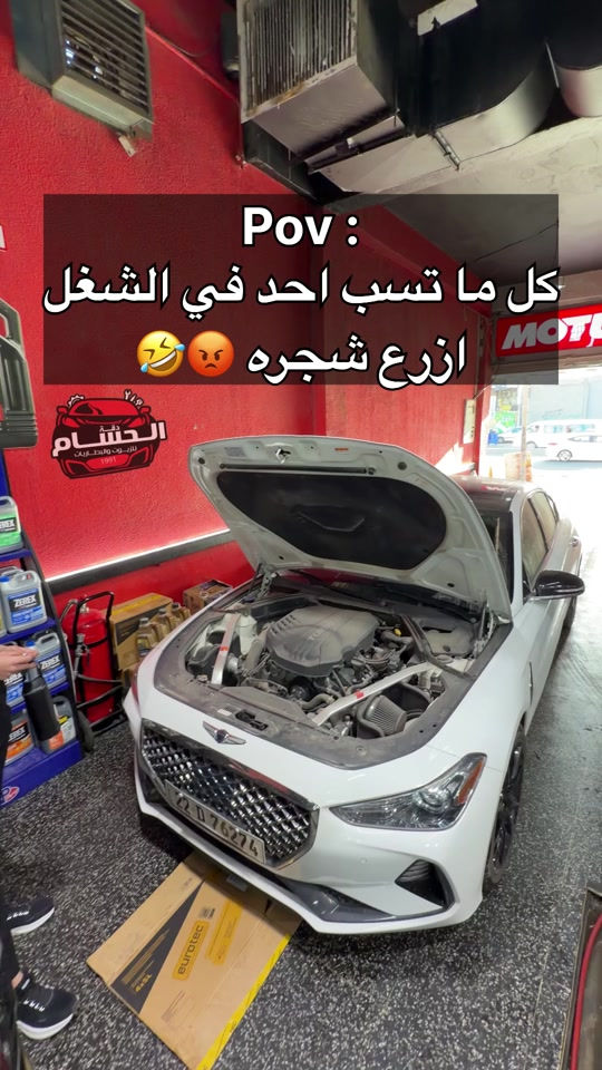 كم واحد زرع شجره وقت العمل  🤣⁉️ عناويين وارقام افرع الحسام الغزالية مجاور سكاي كافيه  *********** الاعظمية شارع المشاتل  *********** *********** المنصور شارع الاميرات مقابل مول بابيلون 📍***********📍 ................................  ‎الدوره شارع 60 📍***********📍 ..............................  ‎- العامرية شارع العمل الشعبي عمارة الترعة  📍***********📍 📍***********📍 ............................. ‎- حي الاعلام مدخل سوك اميمه شارع مجمع الرازي  📍***********📍 ............................. ‎ شارع فلسطين شارع مسرح الخيمه مقابل الاسواق المركزيه  📍***********📍 📍***********📍 ............................. ‎- بسماية الشارع العام قبل بوابه بغداد اسفل قاعه همر جم   📍***********📍 ............................  ‎ - طالبية شارع خير الله مقابل السيطره  📍***********📍 *********** طالبية جديد  /. *********** .............................  الكراده بالقرب من قريه دجله مجاور مدارس البهلول- 📍***********📍 ..............................  ‎- نفق الشرطه شارع الكنيسه  📍***********📍-   📍***********📍- ................... حي الجهاد قرب مجمع النسيم *********** ***********
