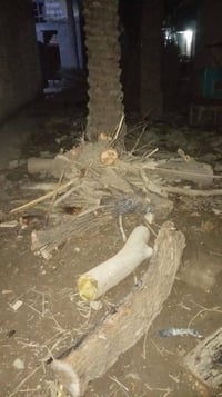 خشب • سيارة كاملة • قرب الإمام عون