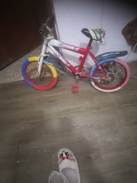 باسكلات • أحمر ١٦ • أخضر ١٤