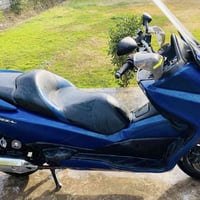 فورزا • صفر • أوراق كاملة