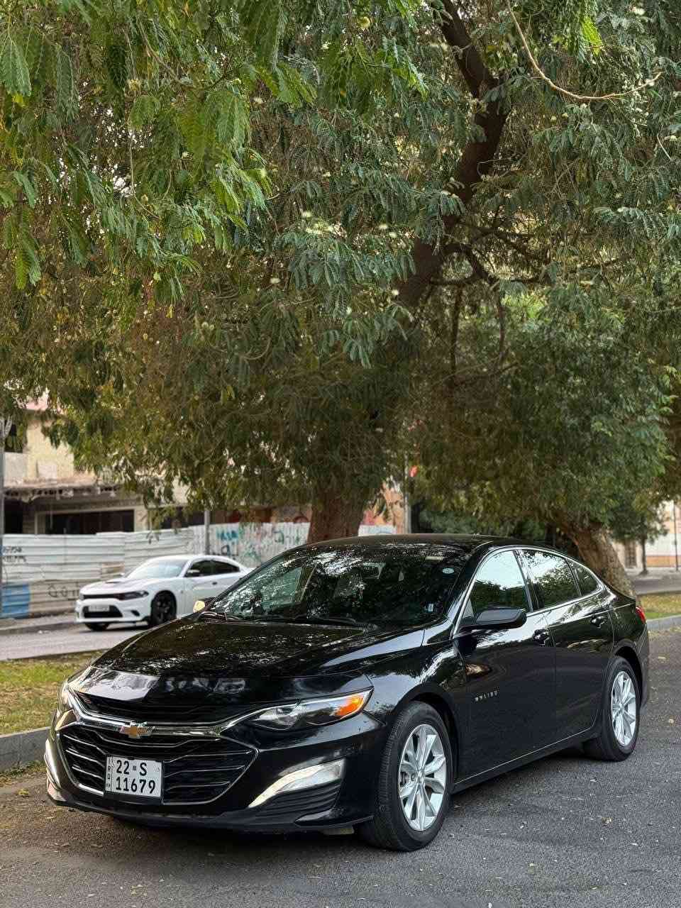 مالييو بسعر مناسب وشي نظيف للجادين فقط
السلام عليكم ماليبو موديل 2023LT1 بدون ايرباك صبغ دعاميه امامي خلفي + كلير جاملغ خلفي 
ماشيه 40 الف كيلو متر 
السياره على وضع الوكاله 
السعر 135$ 
سيارة جديدة اخت الزير 
التواصل 
***********
