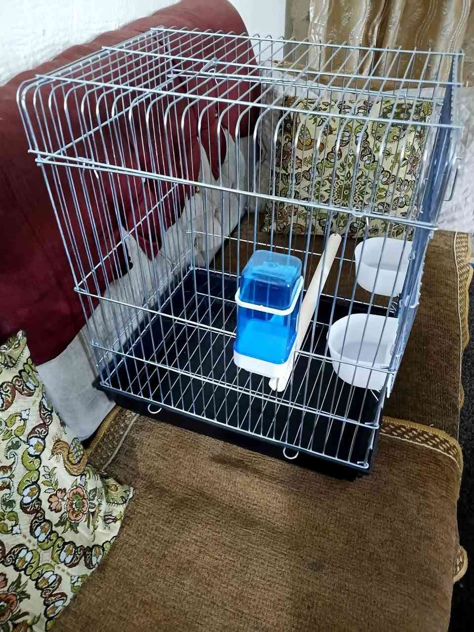 قفص جديد كامل ملحقاته مال ببغاء


**إذا كنت صاحب هذا الإعلان وتريد حذفه لأي سبب، رجاءا أرسل رسالة إلى الدعم الفني**