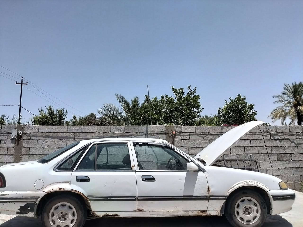 مو شراي لا تتصل ولا تعلق ولا تواعد جاي وتكذب لأن راح يجيك جواب يريح خاطرك 
برنس 1995 صدر أمامي جديد تبريد شغال تخم تاير كهربائيات كلها شغالة حتى جرس شغال بيها كشنات ملكة 
فقط محرك كايم السعر 23 ورقة
مكاني بغداد راشدية ***********
