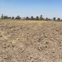 اليوسفيه • ٢٥٠٠م • طابو زراعي