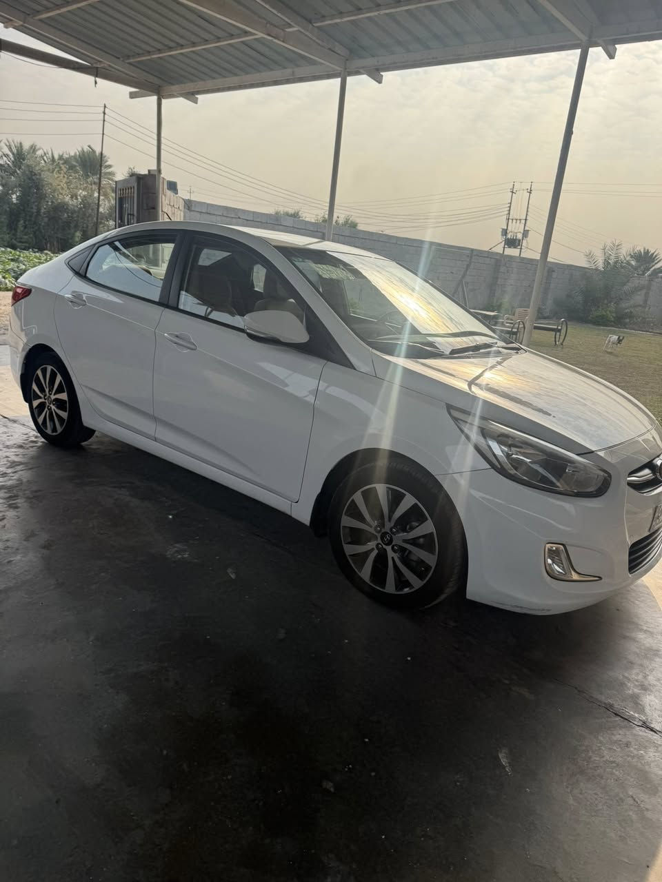 سلام عليكم
اكسنت 2016 خليجي للبيع 
ماشيه 59 الف حقيقي 
مكفوله سياره جديده عدا دعاميه خلفيه شويه صبغ شخط يم قبق بانزين ما معدل 
السعر 120$
العنوان بغداد الدوره
 
الهاتف ***********
