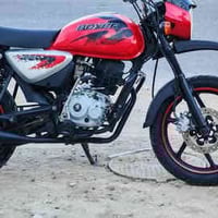 بوكسر 2021 • كفالة • المجر الكبير