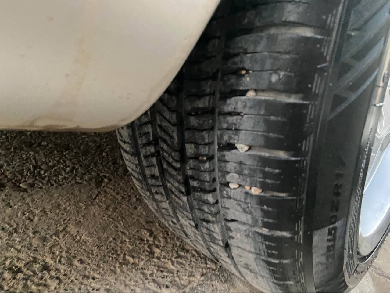 بوگوريناوه باس به موشةباك بلم بي سبوخ بيت ويله كانم بي له حيمه بي خواريه دةروباردي به شرته بي سبوخه تايه كاني ١٠٠:٩٠ خاوينه  له هه وليرم له سر يزني ئادمين أربيل, العراق


**إذا كنت صاحب هذا الإعلان وتريد حذفه لأي سبب، رجاءا أرسل رسالة إلى الدعم الفني**