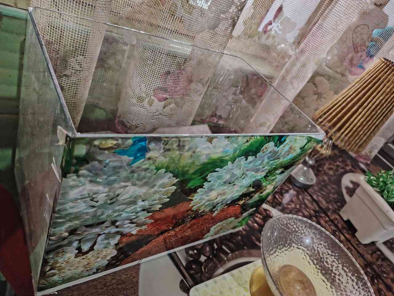 اوفن على 10 وصوبات على 10 و15


**إذا كنت صاحب هذا الإعلان وتريد حذفه لأي سبب، رجاءا أرسل رسالة إلى الدعم الفني**