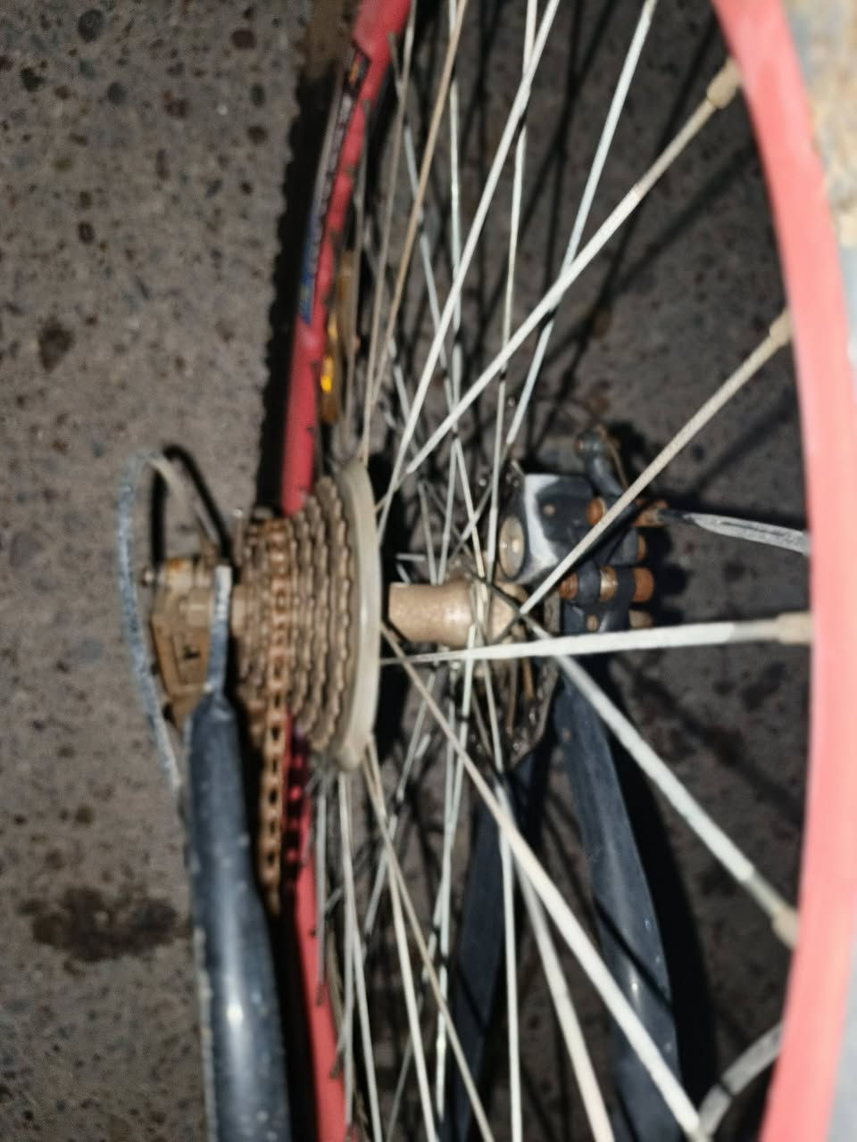 السلام عليكم ورحمه الله وبركاته بايسكل نظيف للبيع الحجم كبير بس بالصوره ضايع المكاين موضحه بالصوره هنه وعددهن السرج مالته الاصلي مال الشركه تصميم رياضي جبلي دبلات  مكائن سرعه وكير كلشي موضح بل الصور 
السعر 75،000 المكان كربلاء خلف محطه الوزني 
الاستفسار ***********
