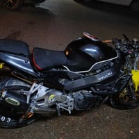دفل 954 • اوراق اصلية • وجه مكسور