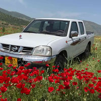 نيسان • ٢٠٠٩ • بدون بوياخ