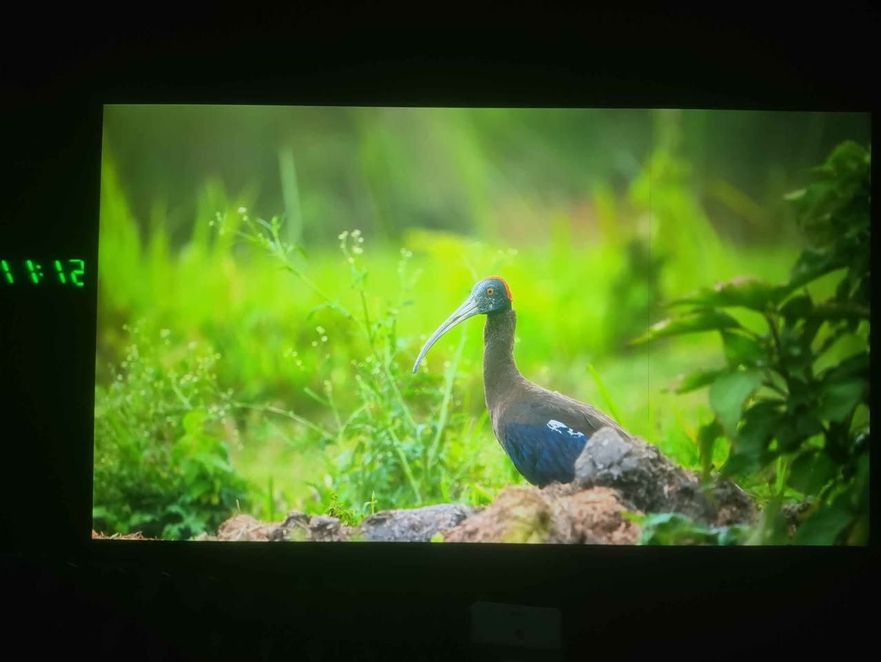 کامل ئەشیا بۆ فرۆشتن بۆیە هەرزان ئەیفرۆشم خەتێکی باریکی لەشاشەی هەیەبێکێشەیە بۆ بەکارهێنان سعری 55 هەزارە مواسەفات لەوێنەکانایە السليمانية, العراق


**إذا كنت صاحب هذا الإعلان وتريد حذفه لأي سبب، رجاءا أرسل رسالة إلى الدعم الفني**