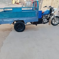 ستوته 12 • نقره • اوراق اصولي