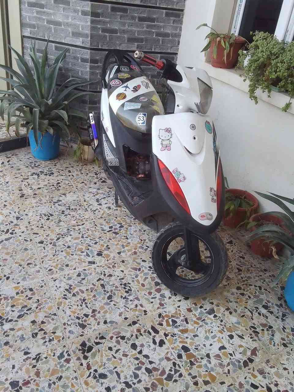 سلام عليكم اخوان من رخصة الادمن عدله للبيع مكينه 61 روله 600 كور ولفين كبار بصمه كلجات رياضي خلفي وامامي شلعه ومعدله كابريتر قفاز قويه دراجه سعر 500 وبيه مجال بسيط للشراء ادمن وافق فدوه الگلبك 
مكان فلوجه جغيفي ثانيه


**إذا كنت صاحب هذا الإعلان وتريد حذفه لأي سبب، رجاءا أرسل رسالة إلى الدعم الفني**