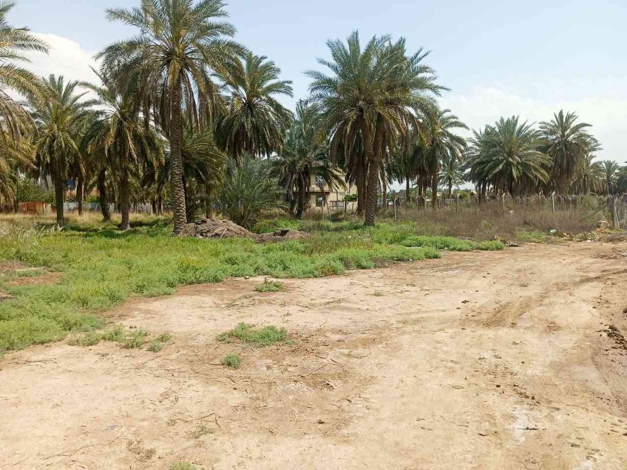 دونم للبيع
سلام عليكم 

دونم للبيع في السريدات القديمه بانهايه المربع الثالث

مساحه الارض 2500متر

واجه 36متر

نزال 71متر

نوع العقار زراعي سند 25

السعر خاص 

للاستفسار 

***********
