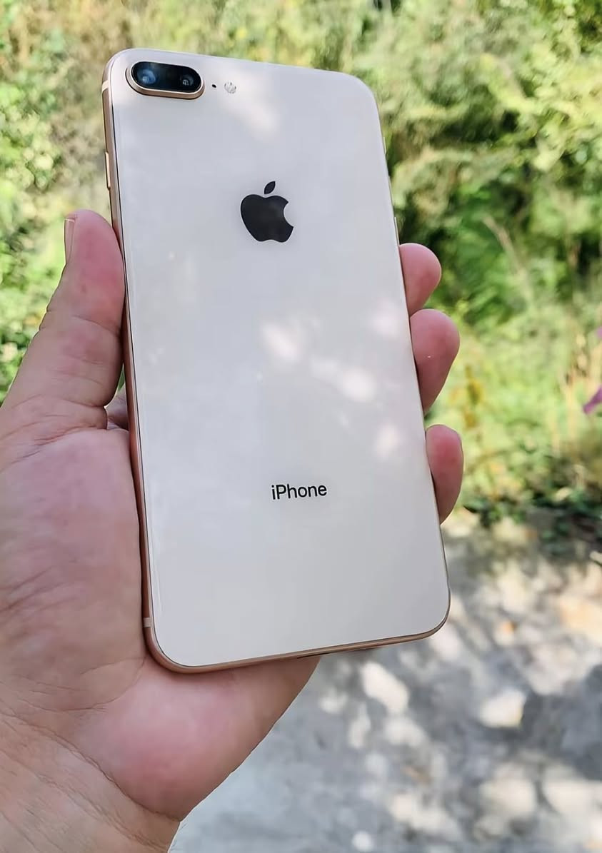 إسلام عليكم
ايفون 8بلص
ما مفتوح انطيك بي ضمان ما مفتوح 
ذاكرة64🔥🔋
بطارية72
السعر خاص 🔥
الرقم***********
