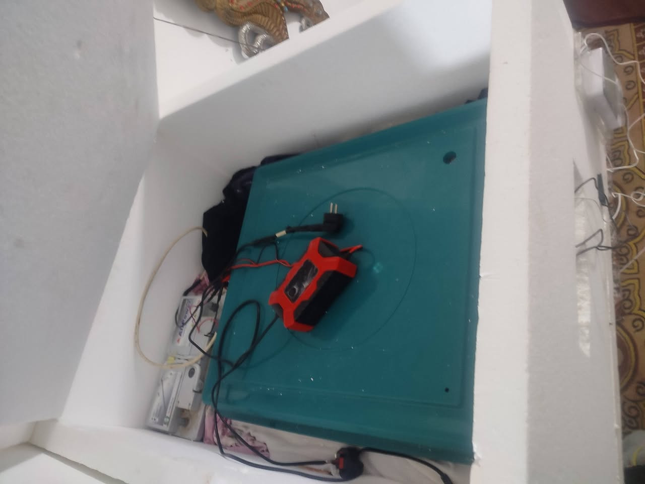 فقاسه جديده استخدام مره واحده فقط
فقاسمه ماخذه 150 تتحمل 130 بيضه

وياه باتري 80 امبير ماخذه 75

وياه شاحنه باتري 25

وياه فلينه شغل حتى تحافض على الحراره ميه بالميه اثناء استخدام الباتري مسويه شغل خمسه سنتيم ضغط 20 ب35 الف 

وياه مقاياسين حراره ورطوبه المكان النجف الشراي يتفضل خاص تاخذه كبل تحط بيه بيض ***********

ابيع كلهن سوه
