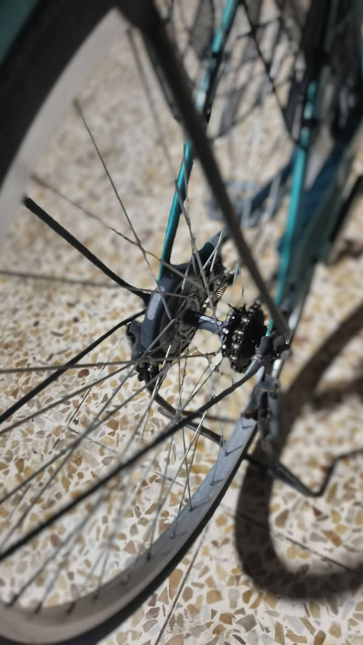 السلام عليكم 🩷
بايسكل للبيع 🩵
الشركة فور ماج 🩶
ويالة مختم 2019🩵
كشن طياري 🩶
دسك جديد🩷
لشة نضيفة شخط مابيهة 🩷
عنوان ديالي بعقوبة ام العضام 🩵
السعر خاص هاذا رقمي 🩷
*********** 🫵
