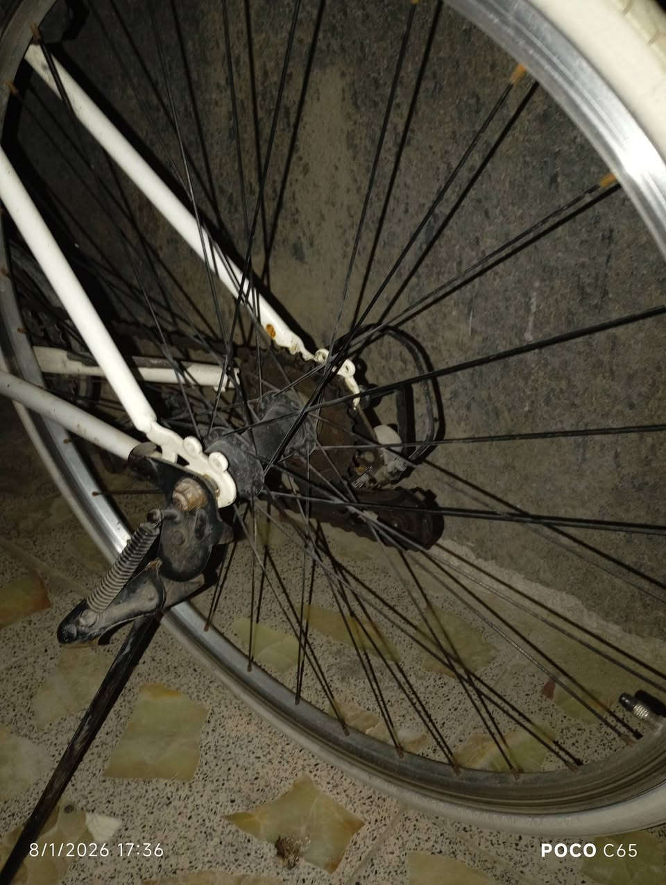 بايسكل باله حاويه للبيع السعر 130 وبي مجال مع هديه قفل و جرس و مسطره العنوان بغداد الاستفسار الاتصال على رقم واتساب ***********:
