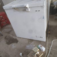 مجمدة • شرط • شغلة ابلادية