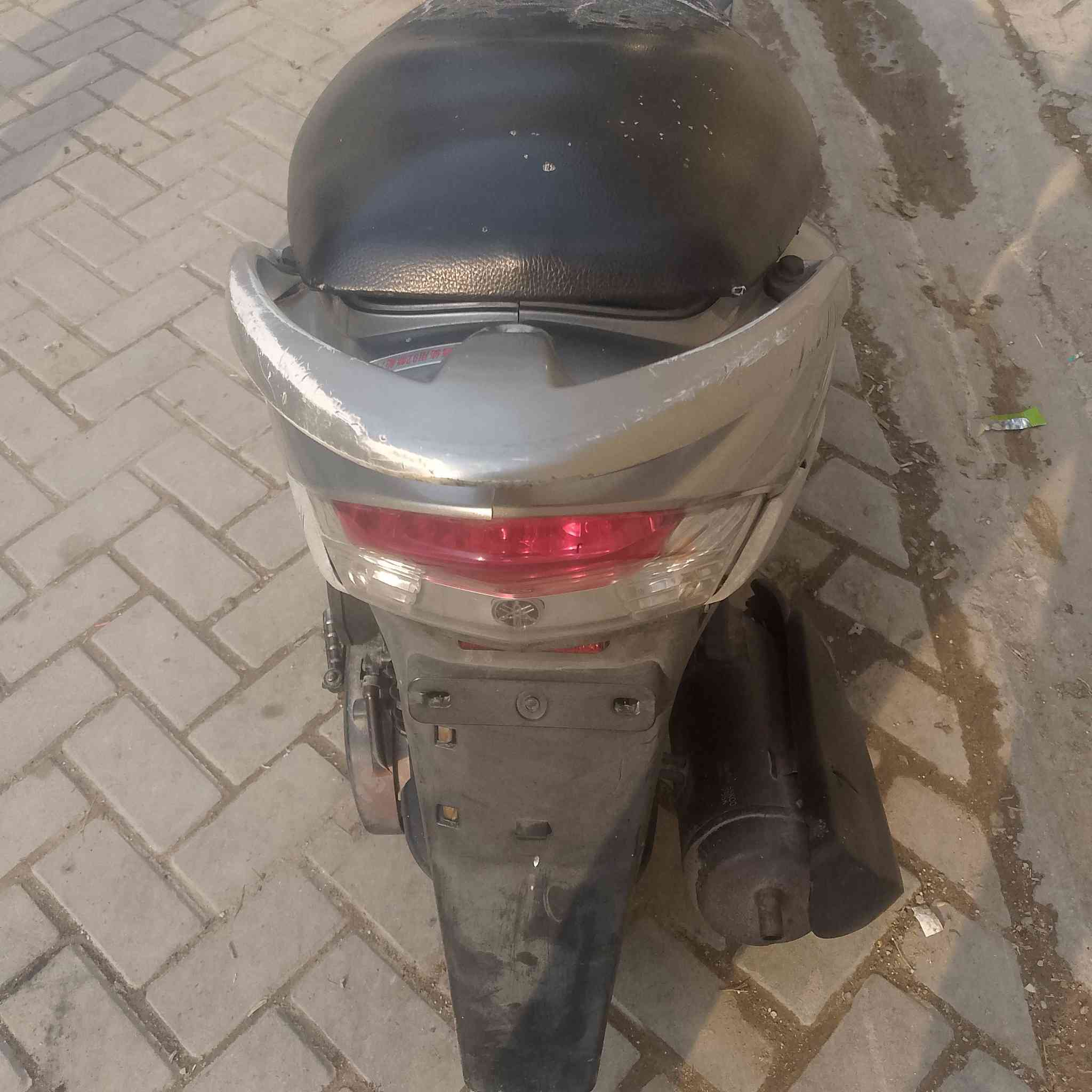 السلام عليكم منغولي للبيع الشراي يتصل ‏‪***********‬‏
