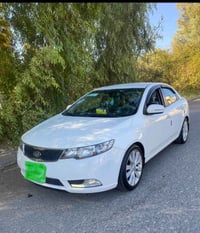 خليجي • ٢٠١٣ • بدون صبغ