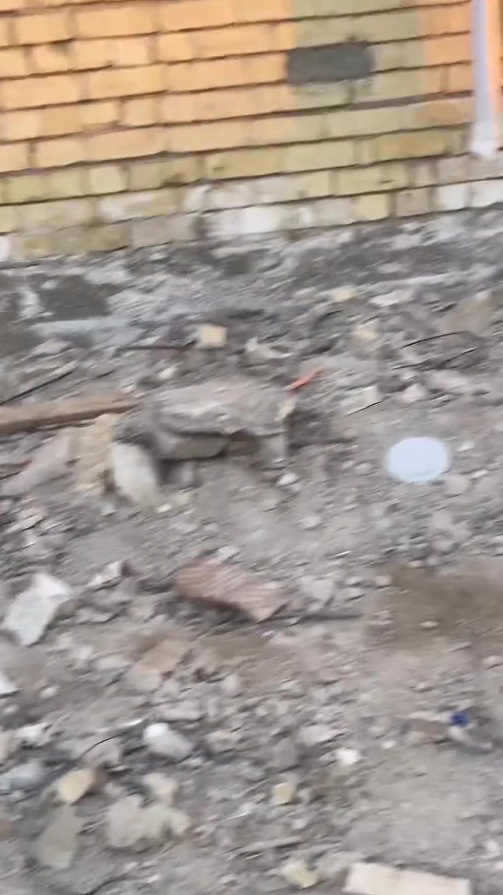 بيت للبيع الدوانم شارع الحسينيه الخضره ثالث قطعه عن الشارع بنيان جديد
للاتصال ابو سجاد 

‭***********‬
