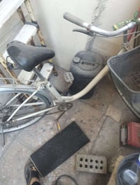 بايسكل بطه • ياباني • وياه سلة