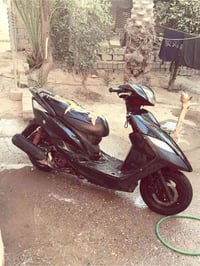 ثعلب • جديده • ما بيه نقص