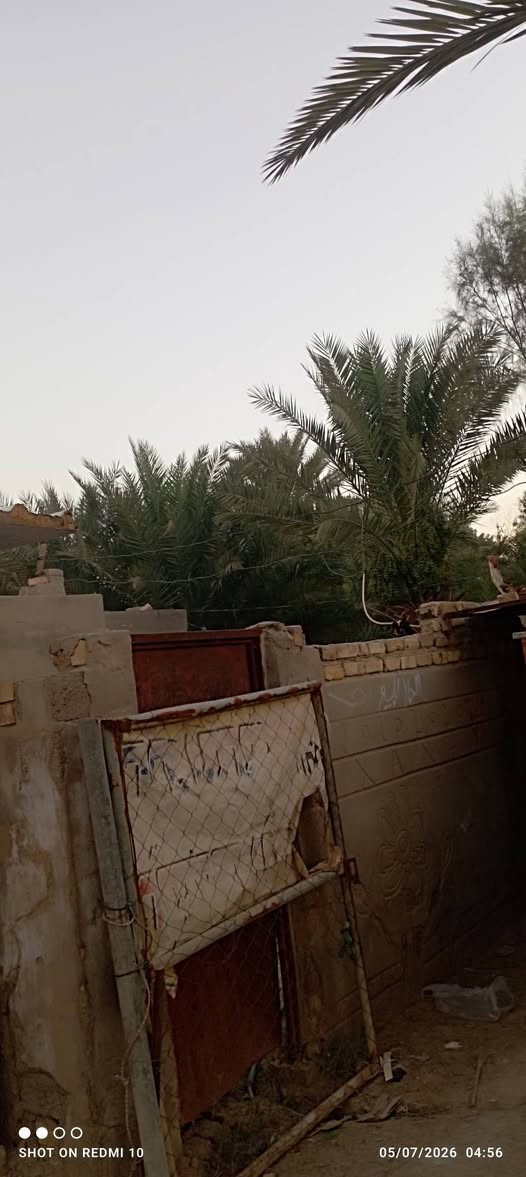 المساحه ٦٢٥ طابو زراعي سند ٢٥ مرقم من قبل البلديه العنوان خلف حي الفرات مقابيل الطاقه الشماليه طريق السنيه السياحي  الاتصال ***********
