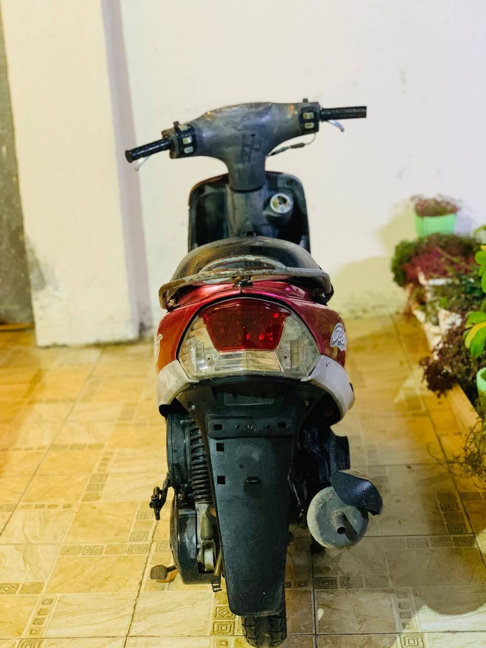 ماكس منغولي 
السعر/450 وبيها مجال لشراي 
حله مركز المدينة 
***********
