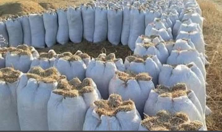 السلام عليكم يوجد تبن ابيض درجه اوله بيه طكت حنطه حجم الكيس 55//السعر2250//وموجود حجم الكيس 60//السعر2750///الارقام//// ***********///***********
