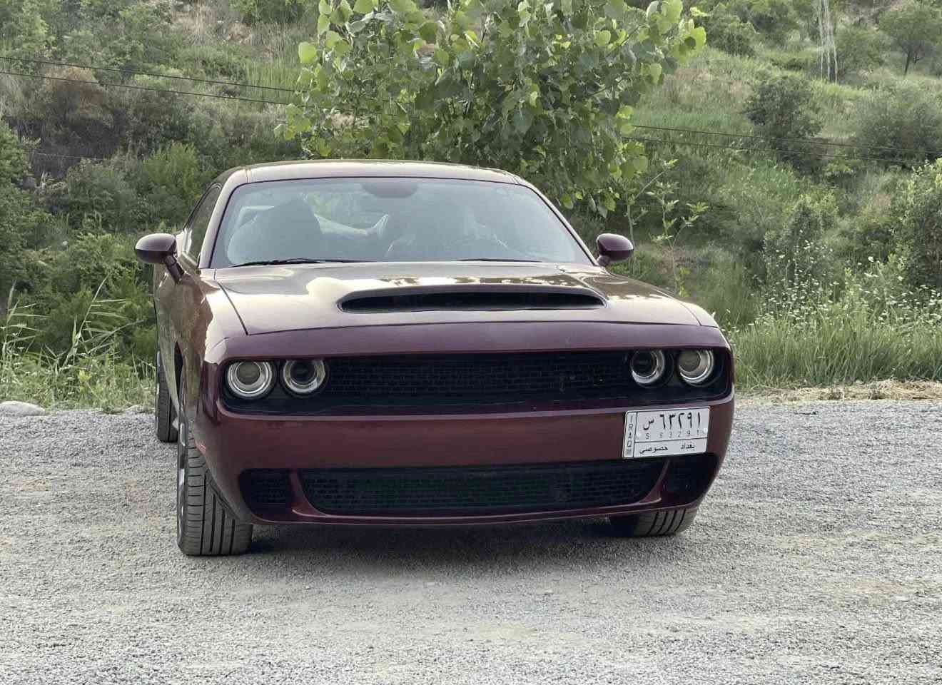 جالنجر V6 2019 GT
محرك كير تبريد باتري تايرات كفاله

تخم جديد ماشيه 57 

فول مواصفات معروفه GT 

بيها 4 قطع 

سعر 158⬛️

مكاني بغداد
***********
