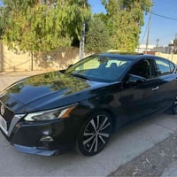 ألتيما SL • ٢٠١٩ • وارد أمريكي