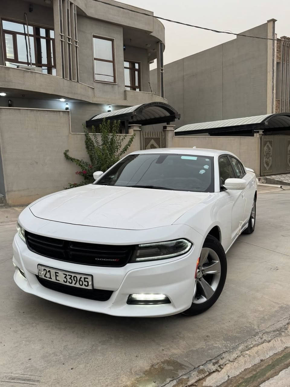 جارجر18. سياره كلين كلين. سياره جديده بمعنى الكلام ماشيه77 مواصفات sxt بدون فتحه  رقمها سليمانيه سياره مناقصها برغي برغي مناقصها صدر امامي جديد خلفي جديد تايرات جدد سياره ع شركة باقي  سياره احله من صور بهواي تعال وشوف تترحملي 
سعره 
سعره
245 وبي مجال وكلشي موجود بلسوك اقل اكو بهواي بس اني انطيك سياره كارتون
***********
