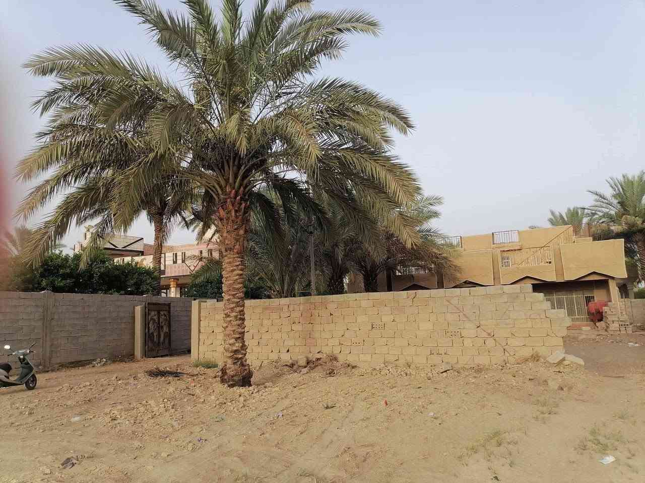 السلام عليكم قطعه مع بيت للبيع  في بابل مساحته ٩٠٠ متر تجاريه على طريق كربلاء بغداد يم عامود٥٦٥ السعر٢٥٠ مليون وبيها مجال تصلح موكب او او حسينيه او محلات او بناء عماره ***********
