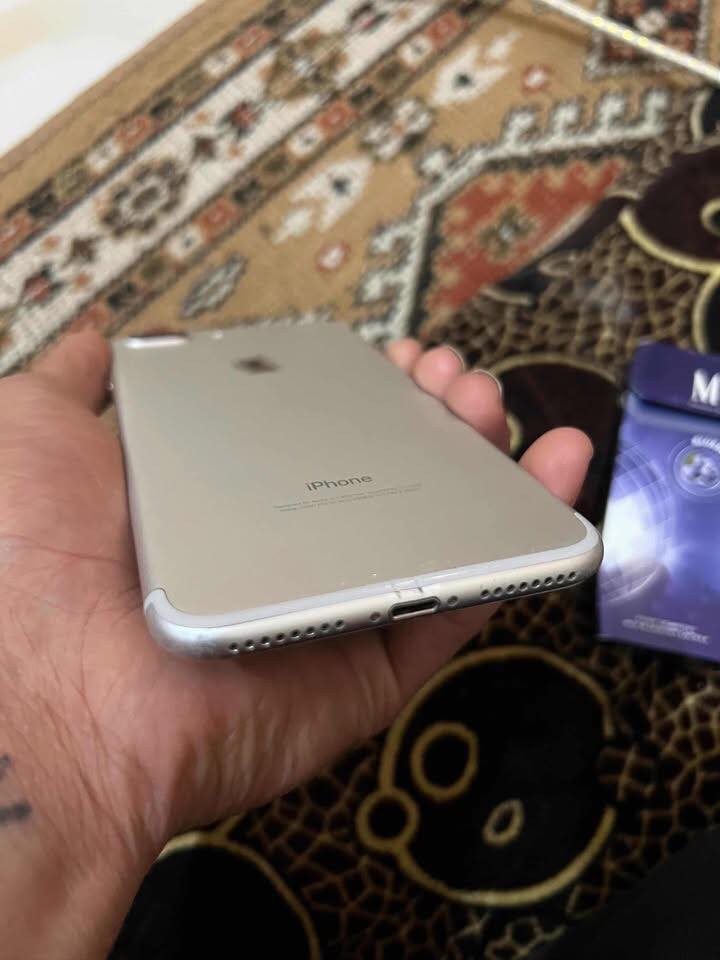 سلام عليكم 
7بلاص 
ذكره 256
بطاريه 100 هستوني مبدلهه اصليه ماتصرف شحن 
الباقي مكفول ممابدل شي غير البطاريه 
كله شغال بيع اول مراوس


**إذا كنت صاحب هذا الإعلان وتريد حذفه لأي سبب، رجاءا أرسل رسالة إلى الدعم الفني**