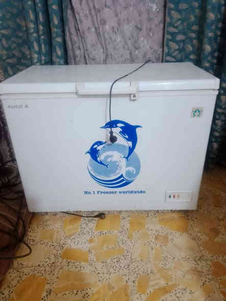 مجمده للبيع شغاله تجميد فول مكان النجف شارع 30 الحولي السعر 200 الاستفسار هذا رقمي ***********
