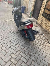 سكنس فحل نوزل يرادله ترتيب بالكهربائيات  السعر  ٦٥٠ بيه مجال حك الجيه ...