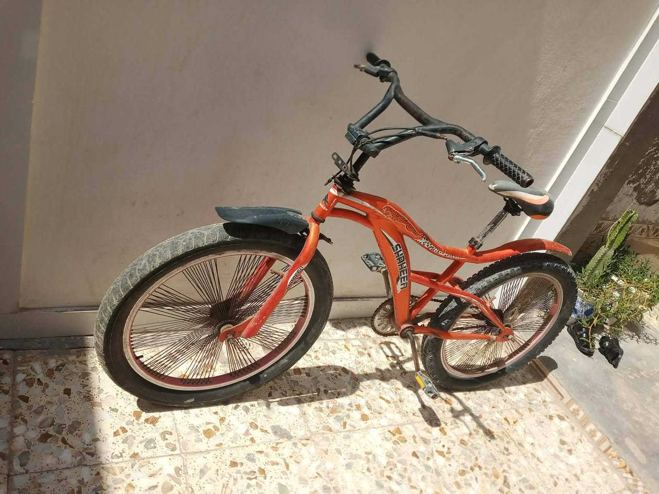 بنسكل كوبره جاهزه لبيع السعر ٥٥بيه مجال لشراي 
لحد يطي سعر من لمه شراي تعال خاص 
***********
