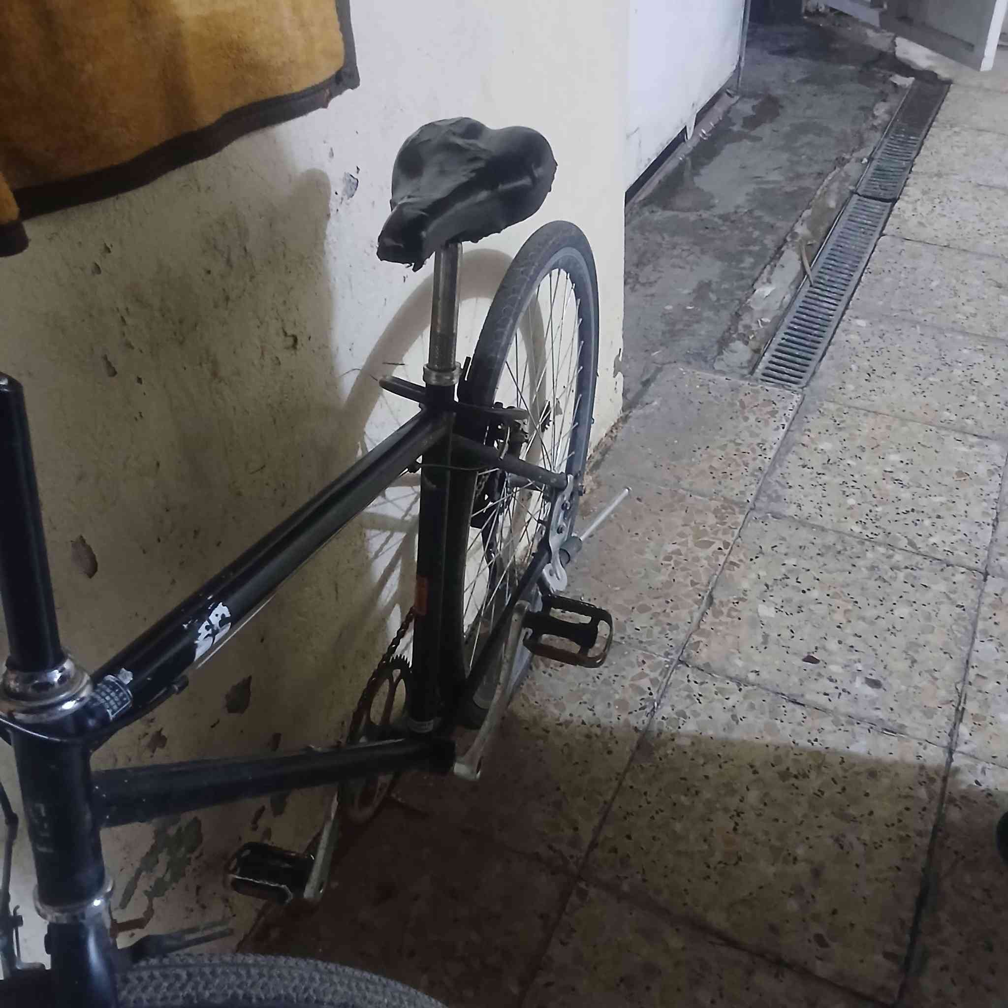 سلام عليكم شباب بايسكل للبيع سي 700 مكان بغداد سعر على الخاص


**إذا كنت صاحب هذا الإعلان وتريد حذفه لأي سبب، رجاءا أرسل رسالة إلى الدعم الفني**