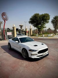 بيع او مراوس حسب القناعه    GT . 2021  اتصال 07883504050 واتساب 078124...