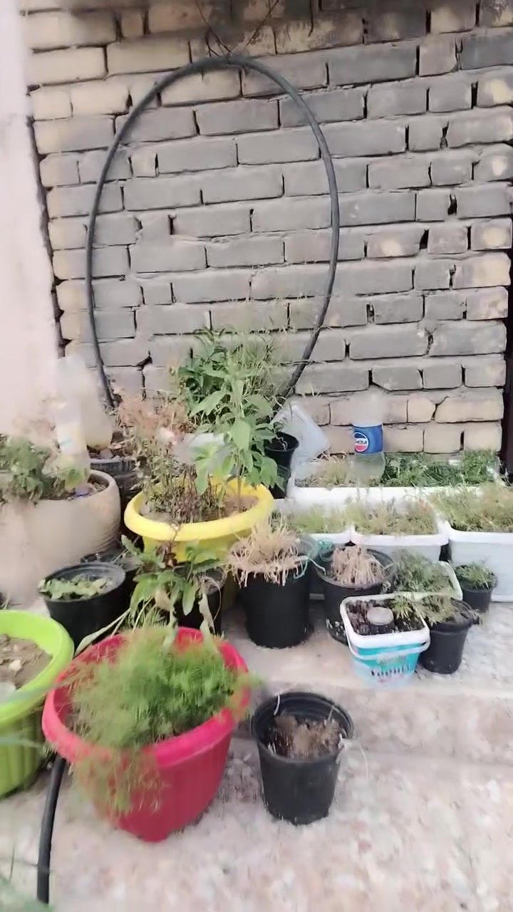 السلام عليكم بيت للايجار في حي أور خلف جامع عمار بن ياسر بناء حديث يحتوي على ٣ غرف نوم مع منضومه نت وسخان وماطور للاستفسار الاتصال على الرقم ***********
