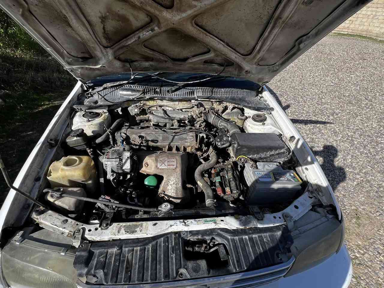 فرخ بطه للبيع نقد فقط
رقم دولي نينوى
هزه جديده 
لون ابيض 
تبريد تدفئه
السعر ٤٠
***********
***********
