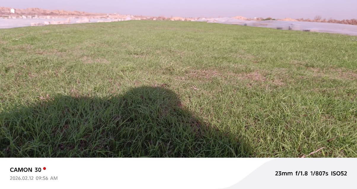 ثيل طبيعي مغطه للبيع ثيل درجه واله ‏‪***********‬‏
