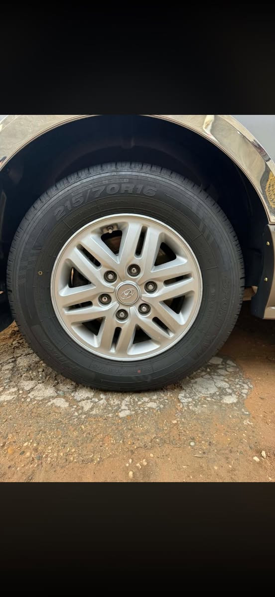 تخم وياله ١٦ للبيع مكاني بابل سدة الهنديه ***********
