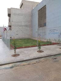 تاسيس وترتيب الحدائق وباسعار مناسبة ٠٧٧٠٤١١٧٠٣٥-----٠٧٥١١٦٠١٤٦٦